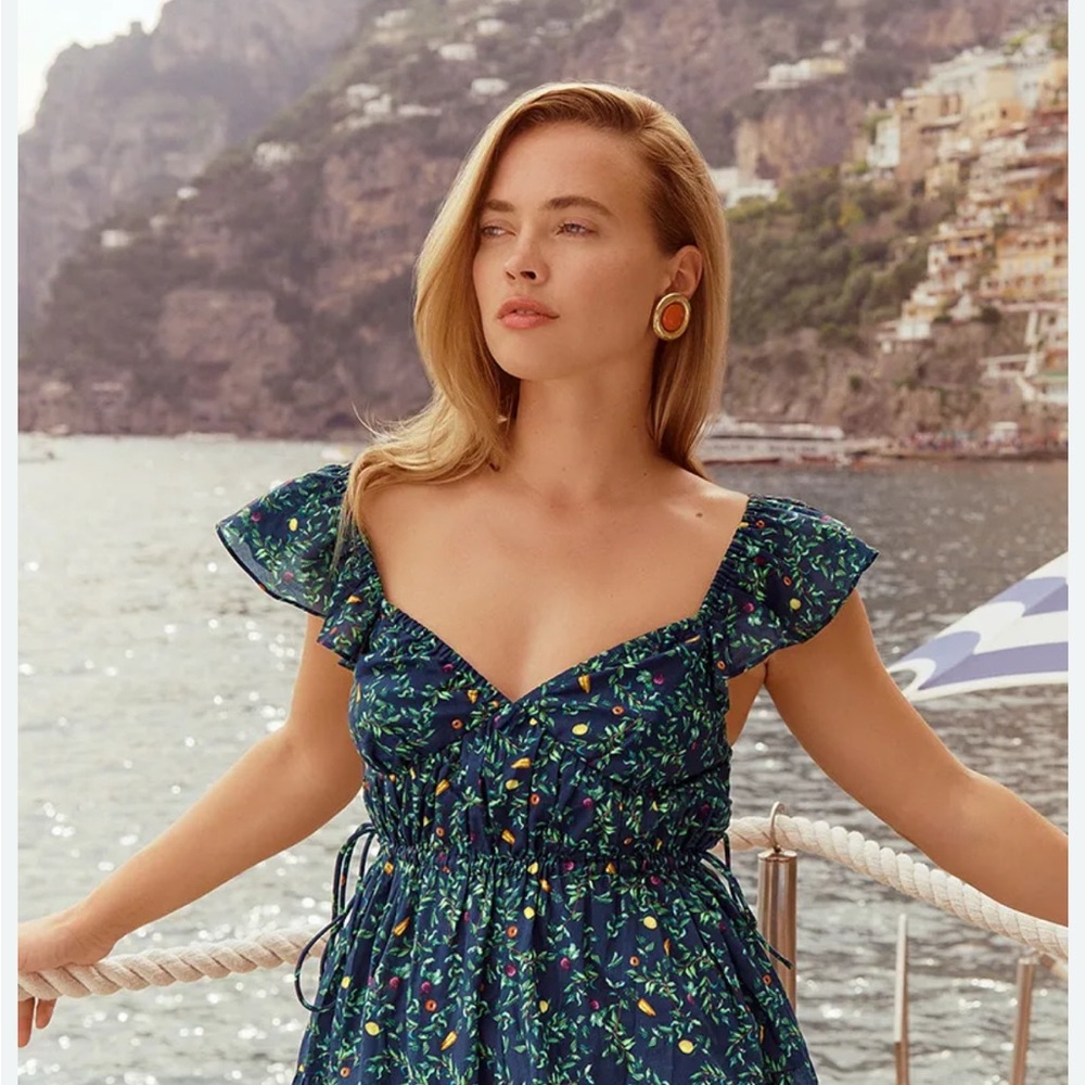 Hill House Dress in Midnight Garden